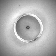 幅：6.9 (cm)×奥行：6.9 (cm)×高さ：1.9 (cm)／47 (g)，撮影・計測日：1993-11-11