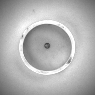 幅：8.2 (cm)×奥行：8.1 (cm)×高さ：2.1 (cm)／68 (g)，撮影・計測日：1993-11-11