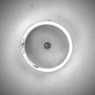 幅：6.5 (cm)×奥行：6.5 (cm)×高さ：2.0 (cm)／37 (g)，撮影・計測日：1993-11-11