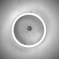 幅：6.7 (cm)×奥行：6.7 (cm)×高さ：1.8 (cm)／38 (g)，撮影・計測日：1993-11-11