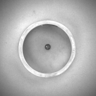 幅：8.3 (cm)×奥行：8.2 (cm)×高さ：2.5 (cm)／78 (g)，撮影・計測日：1993-11-11