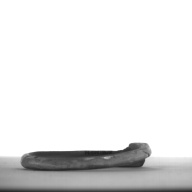 幅：1.6 (cm)×奥行：8.9 (cm)×高さ：0.8 (cm)／30 (g)，撮影・計測日：1996-12-13