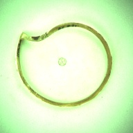 幅：0.6 (cm)×奥行：10 (cm)×高さ：0.5 (cm)／15 (g)，撮影・計測日：1996-12-13