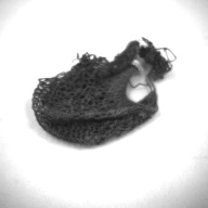 W:10 (cm)×D:14 (cm)×H:0.8 (cm)／11 (g)，Measurement date:1996-12-13