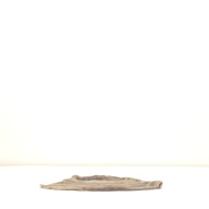 W:29 (cm)×D:45 (cm)×H:1.2 (cm)／72 (g)，Measurement date:1996-05-17