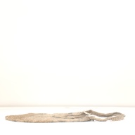 W:51 (cm)×D:53 (cm)×H:1.3 (cm)／297 (g)，Measurement date:1996-05-17