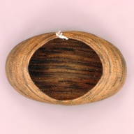 W:55 (cm)×D:33 (cm)×H:18 (cm)／790 (g)，Measurement date:2002-06-27