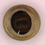 幅：31 (cm)×奥行：29 (cm)×高さ：15 (cm)／393 (g)，撮影・計測日：2002-06-27