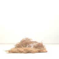 W:47 (cm)×D:54 (cm)×H:7.6 (cm)／141 (g)，Measurement date:1996-05-24