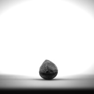 W:2.6 (cm)×D:10 (cm)×H:2.7 (cm)／17 (g)，Measurement date:1993-11-12