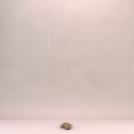 W:7.9 (cm)×D:80 (cm)×H:3.5 (cm)／90 (g)，Measurement date:2002-08-02