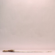 W:7.9 (cm)×D:80 (cm)×H:3.5 (cm)／90 (g)，Measurement date:2002-08-02