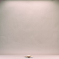 W:14 (cm)×D:91 (cm)×H:2.2 (cm)／157 (g)，Measurement date:2002-08-02