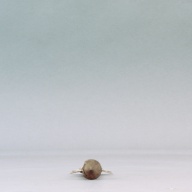 W:5.5 (cm)×D:21 (cm)×H:2.6 (cm)／69 (g)，Measurement date:2003-10-28