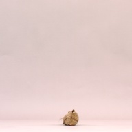 W:5.2 (cm)×D:36 (cm)×H:5.2 (cm)／159 (g)，Measurement date:2002-07-31