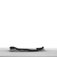 W:0.3 (cm)×D:12 (cm)×H:0.3 (cm)／7 (g)，Measurement date:1996-12-13<BR>Measurement date:1996-12-13