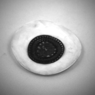 幅：13 (cm)×奥行：12 (cm)×高さ：1.3 (cm)／109 (g)，撮影・計測日：1993-11-12