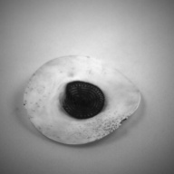 幅：13 (cm)×奥行：12 (cm)×高さ：3.1 (cm)／101 (g)，撮影・計測日：1993-11-12