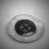 幅：7.7 (cm)×奥行：7.8 (cm)×高さ：6.8 (cm)／41 (g)，撮影・計測日：1993-11-12