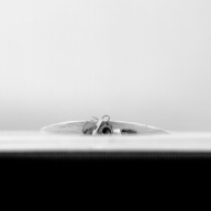 幅：15 (cm)×奥行：19 (cm)×高さ：1.7 (cm)／142 (g)，撮影・計測日：1994-01-07