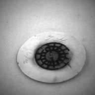 幅：5.9 (cm)×奥行：5.8 (cm)×高さ：1.2 (cm)／14 (g)，撮影・計測日：1993-11-12