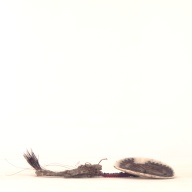 幅：5.3 (cm)×奥行：17 (cm)×高さ：2.7 (cm)／28 (g)，撮影・計測日：2001-07-18