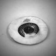 幅：12 (cm)×奥行：11 (cm)×高さ：0.7 (cm)／92 (g)，撮影・計測日：1993-11-12