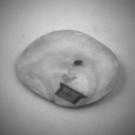 幅：8.6 (cm)×奥行：7.4 (cm)×高さ：0.6 (cm)／46 (g)，撮影・計測日：1993-11-12