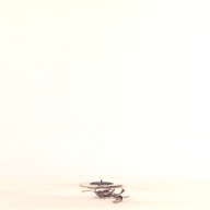 幅：6.2 (cm)×奥行：23 (cm)×高さ：1.2 (cm)／31 (g)，撮影・計測日：2001-07-18