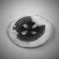 幅：8.0 (cm)×奥行：8.1 (cm)×高さ：2.3 (cm)／46 (g)，撮影・計測日：1993-11-12