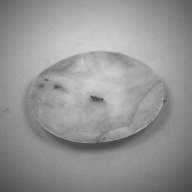 幅：11 (cm)×奥行：12 (cm)×高さ：1.0 (cm)／115 (g)，撮影・計測日：1993-11-12