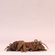 幅：23 (cm)×奥行：23 (cm)×高さ：5.4 (cm)／79 (g)，撮影・計測日：2002-08-02