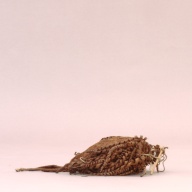 幅：23 (cm)×奥行：23 (cm)×高さ：5.4 (cm)／79 (g)，撮影・計測日：2002-08-02