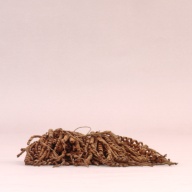 幅：24 (cm)×奥行：18 (cm)×高さ：5.1 (cm)／99 (g)，撮影・計測日：2002-08-02