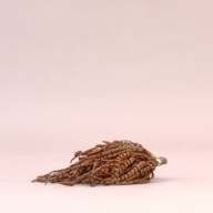 幅：24 (cm)×奥行：18 (cm)×高さ：5.1 (cm)／99 (g)，撮影・計測日：2002-08-02