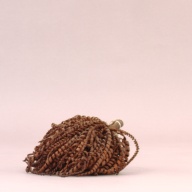 幅：27 (cm)×奥行：17 (cm)×高さ：8.2 (cm)／154 (g)，撮影・計測日：2002-08-02