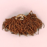 幅：27 (cm)×奥行：17 (cm)×高さ：8.2 (cm)／154 (g)，撮影・計測日：2002-08-02