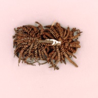 幅：21 (cm)×奥行：15 (cm)×高さ：6.5 (cm)／77 (g)，撮影・計測日：2002-08-02