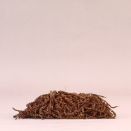 幅：21 (cm)×奥行：19 (cm)×高さ：5.6 (cm)／74 (g)，撮影・計測日：2002-08-02