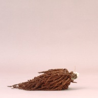 幅：21 (cm)×奥行：19 (cm)×高さ：5.6 (cm)／74 (g)，撮影・計測日：2002-08-02