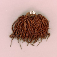 幅：21 (cm)×奥行：19 (cm)×高さ：5.6 (cm)／74 (g)，撮影・計測日：2002-08-02