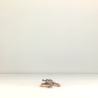 W:14 (cm)×D:56 (cm)×H:5.4 (cm)／104 (g)，Measurement date:1996-05-16