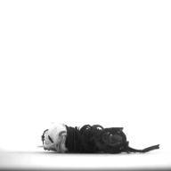 W:1.3 (cm)×D:3.7 (cm)×H:1.2 (cm)／6 (g)，Measurement date:1996-12-16