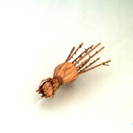 W:9.6 (cm)×D:28 (cm)×H:8.1 (cm)／28 (g)，Measurement date:1993-12-27