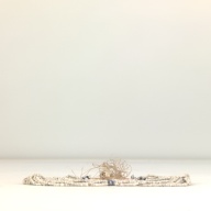 W:7.0 (cm)×D:16 (cm)×H:1.3 (cm)／245 (g)，Measurement date:1996-05-16