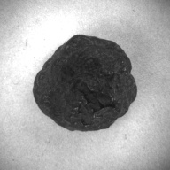 W:3.7 (cm)×D:3.5 (cm)×H:2.9 (cm)／69 (g)，Measurement date:1996-12-16