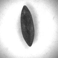 W:2.1 (cm)×D:7.1 (cm)×H:2.2 (cm)／48 (g)，Measurement date:1996-12-16