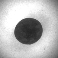 W:2.9 (cm)×D:2.6 (cm)×H:2.5 (cm)／28 (g)，Measurement date:1996-12-16