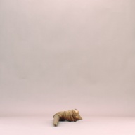 W:19 (cm)×D:64 (cm)×H:8.3 (cm)／392 (g)，Measurement date:2002-08-01