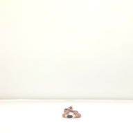 W:1.1 (cm)×D:37 (cm)×H:1.3 (cm)／121 (g)，Measurement date:1996-05-21